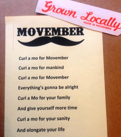 ‘Curl A Mo’ for Movember - The Brilliant Song by the Mick Flinn Band photograph